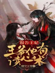 盖世猛龙罗宾