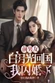 太子的白月光是我 免费