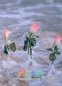 闪婚后小祖宗被大佬宠爆了
