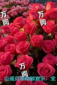 加油吧