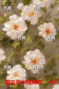 射雕之江湖评价