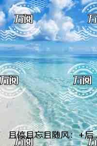 重生七零再高嫁完结了吗