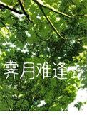 看顾着我的长路
