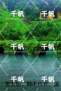 姜许陆执
