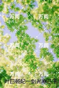 叶白杨妃
